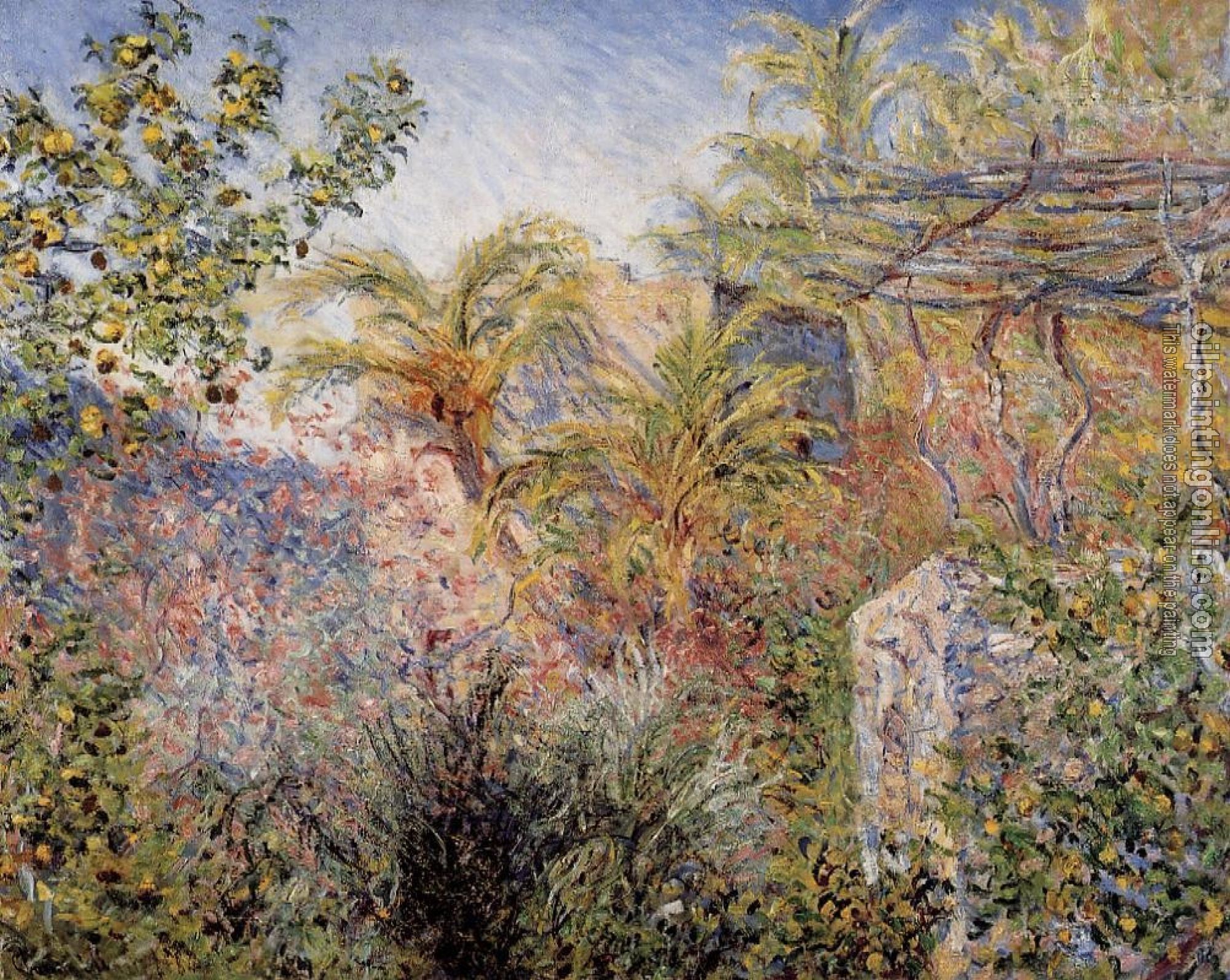 Monet, Claude Oscar - The Valley of Sasso, Bordighera